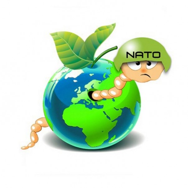 Порвите методичку и откройте учебник истории. Юлия Витязева