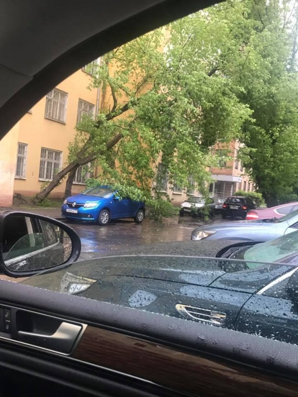 Ураган обрушился на Москву: 6 человек погибли. Завалило Медведева Ураган обрушился на Москву: 6 человек погибли. Завалило Медведева