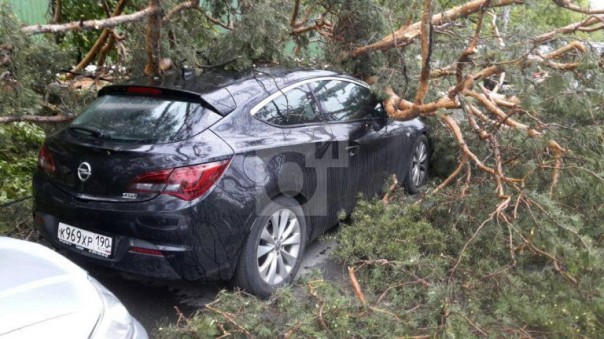 Ураган обрушился на Москву: 6 человек погибли. Завалило Медведева Ураган обрушился на Москву: 6 человек погибли. Завалило Медведева