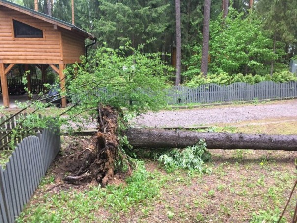 Ураган обрушился на Москву: 6 человек погибли. Завалило Медведева Ураган обрушился на Москву: 6 человек погибли. Завалило Медведева