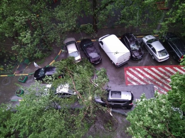 Ураган обрушился на Москву: 6 человек погибли. Завалило Медведева