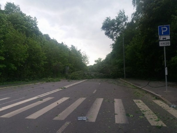 Ураган обрушился на Москву: 6 человек погибли. Завалило Медведева Ураган обрушился на Москву: 6 человек погибли. Завалило Медведева