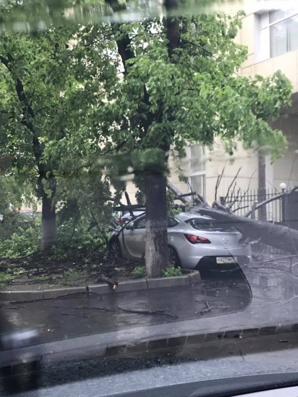Ураган обрушился на Москву: 6 человек погибли. Завалило Медведева Ураган обрушился на Москву: 6 человек погибли. Завалило Медведева