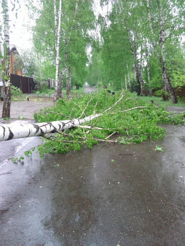 Ураган обрушился на Москву: 6 человек погибли. Завалило Медведева Ураган обрушился на Москву: 6 человек погибли. Завалило Медведева