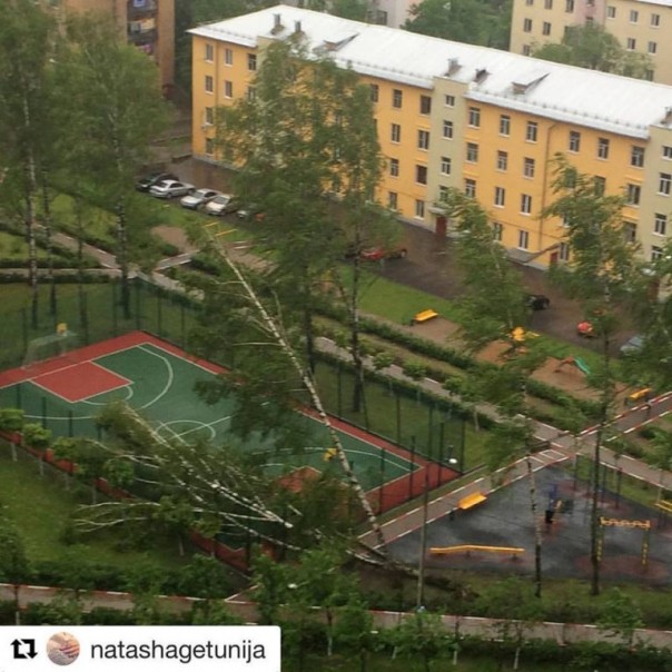 Ураган обрушился на Москву: 6 человек погибли. Завалило Медведева Ураган обрушился на Москву: 6 человек погибли. Завалило Медведева