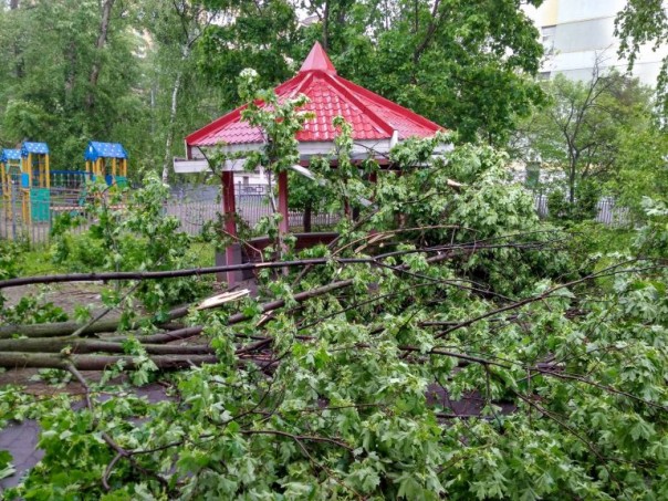 Ураган обрушился на Москву: 6 человек погибли. Завалило Медведева Ураган обрушился на Москву: 6 человек погибли. Завалило Медведева