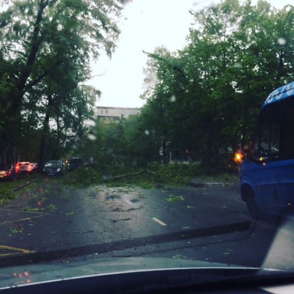 Ураган обрушился на Москву: 6 человек погибли. Завалило Медведева Ураган обрушился на Москву: 6 человек погибли. Завалило Медведева