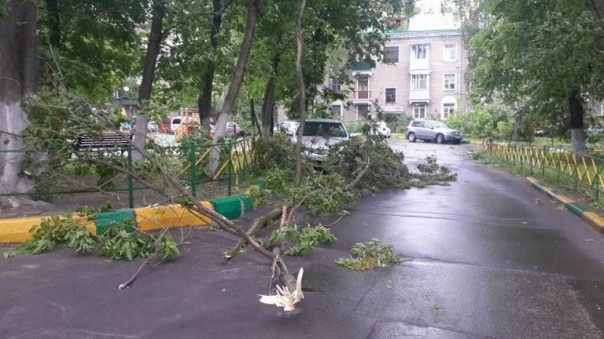 Ураган обрушился на Москву: 6 человек погибли. Завалило Медведева Ураган обрушился на Москву: 6 человек погибли. Завалило Медведева