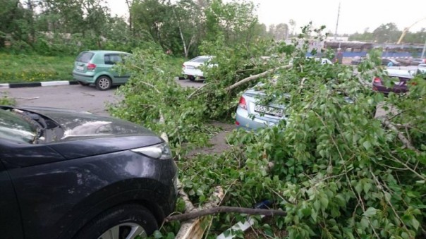 Ураган в Москве: более 100 человек находятся в больницах, погибли 16 человек