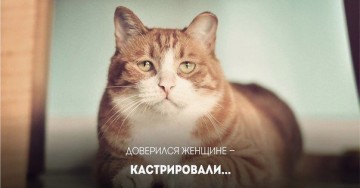 "Мыздобулы" в картинках. Смешных и не очень... 03.05.2017