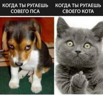 "Мыздобулы" в картинках. Смешных и не очень... 03.05.2017
