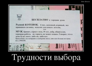 "Мыздобулы" в картинках. Смешных и не очень... 05.05.2017