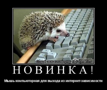 "Мыздобулы" в картинках. Смешных и не очень... 05.05.2017