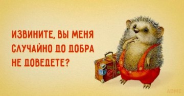 "Мыздобулы" в картинках. Смешных и не очень... 05.05.2017