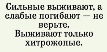 "Мыздобулы" в картинках. Смешных и не очень... 05.05.2017