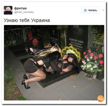 "Мыздобулы" в картинках. Смешных и не очень... 07.05.2017