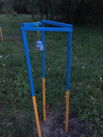 В Черновцах выкопали деревья с Аллеи памяти героев АТО