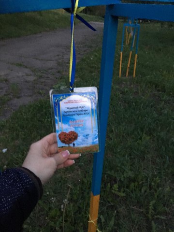 В Черновцах выкопали деревья с Аллеи памяти героев АТО