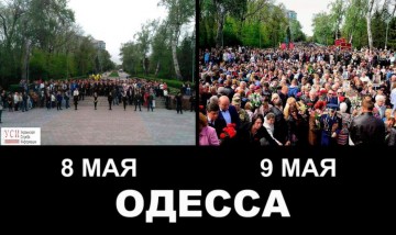 "Мыздобулы" в картинках. Смешных и не очень... 11.05.2017