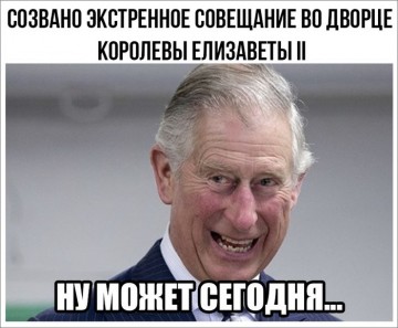 "Мыздобулы" в картинках. Смешных и не очень... 11.05.2017
