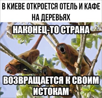 "Мыздобулы" в картинках. Смешных и не очень... 11.05.2017