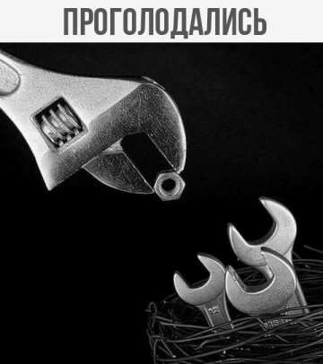 "Мыздобулы" в картинках. Смешных и не очень... 13.05.2017