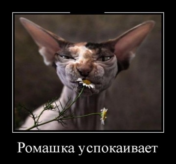 "Мыздобулы" в картинках. Смешных и не очень... 13.05.2017