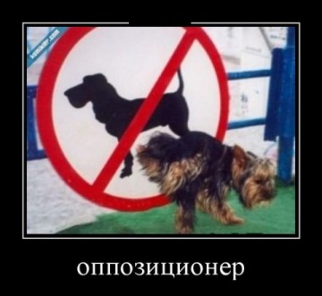 "Мыздобулы" в картинках. Смешных и не очень... 13.05.2017