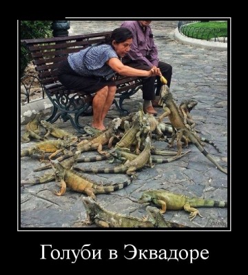 "Мыздобулы" в картинках. Смешных и не очень... 15.05.2017