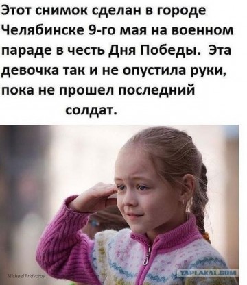 "Мыздобулы" в картинках. Смешных и не очень... 15.05.2017