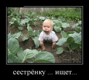 "Мыздобулы" в картинках. Смешных и не очень... 15.05.2017