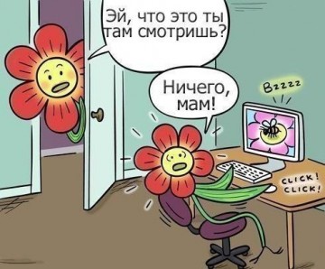 "Мыздобулы" в картинках. Смешных и не очень... 15.05.2017