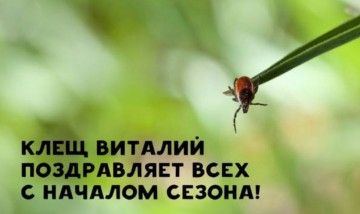 "Мыздобулы" в картинках. Смешных и не очень... 15.05.2017