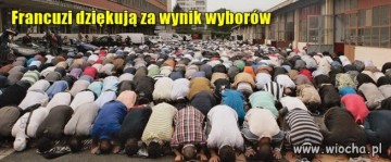 "Мыздобулы" в картинках. Смешных и не очень... 15.05.2017