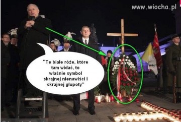 "Мыздобулы" в картинках. Смешных и не очень... 15.05.2017