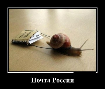 "Мыздобулы" в картинках. Смешных и не очень... 17.05.2017