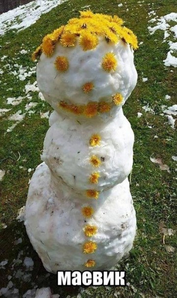 "Мыздобулы" в картинках. Смешных и не очень... 17.05.2017