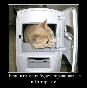 "Мыздобулы" в картинках. Смешных и не очень... 19.05.2017