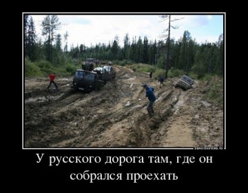 "Мыздобулы" в картинках. Смешных и не очень... 19.05.2017