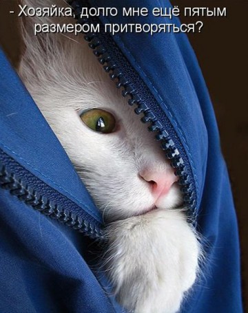 "Мыздобулы" в картинках. Смешных и не очень... 21.05.2017