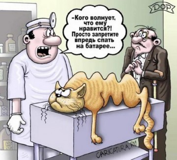 "Мыздобулы" в картинках. Смешных и не очень... 21.05.2017