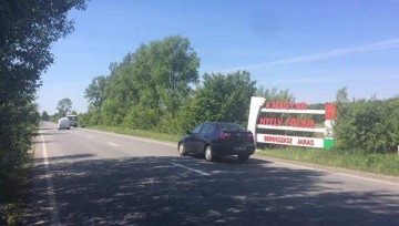 «Венгерский бунт» в Закарпатье