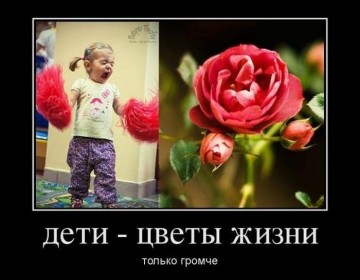"Мыздобулы" в картинках. Смешных и не очень... 23.05.2017