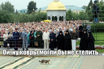 "Мыздобулы" в картинках. Смешных и не очень... 23.05.2017