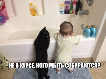 "Мыздобулы" в картинках. Смешных и не очень... 23.05.2017