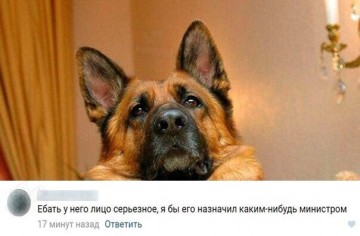 "Мыздобулы" в картинках. Смешных и не очень... 23.05.2017