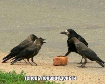 "Мыздобулы" в картинках. Смешных и не очень... 23.05.2017