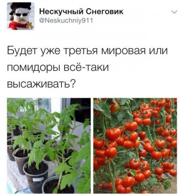 "Мыздобулы" в картинках. Смешных и не очень... 23.05.2017