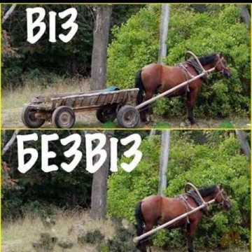 "Мыздобулы" в картинках. Смешных и не очень... 24.05.2017