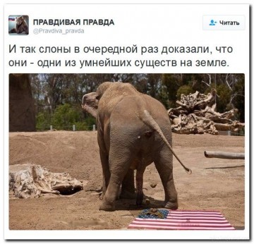 "Мыздобулы" в картинках. Смешных и не очень... 26.05.2017